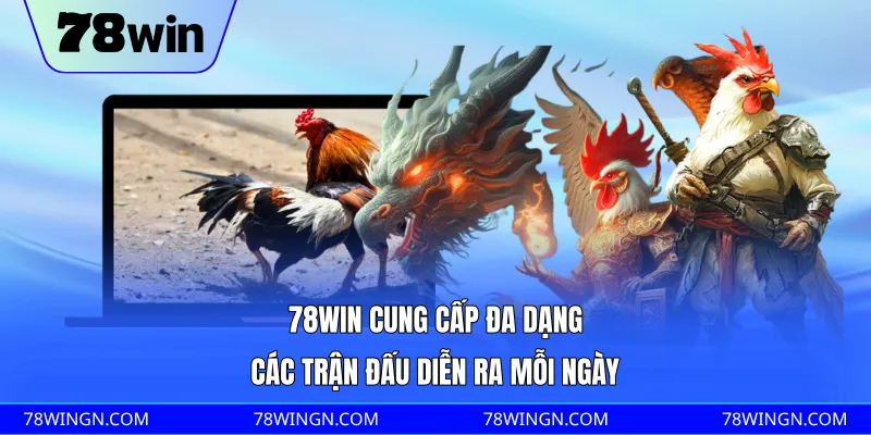 78WIN cung cấp đa dạng các trận đấu diễn ra mỗi ngày