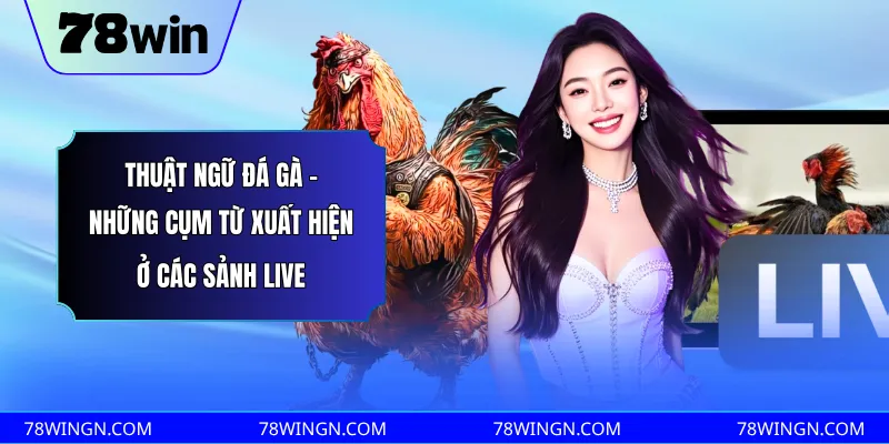 Thuật ngữ đá gà - Những cụm từ xuất hiện ở các sảnh live